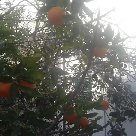 Дом отдыха Principessa Jolanda