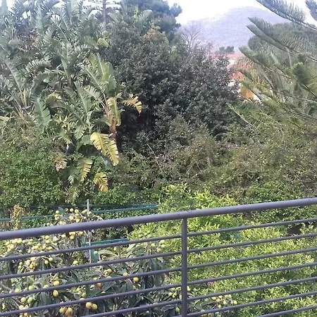 Principessa Jolanda Монделло